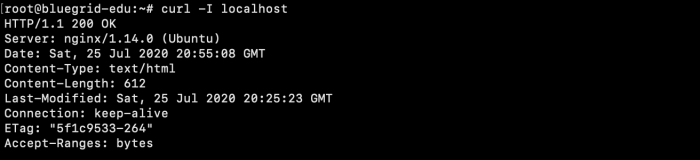 how to install nginx on ubuntu | test via curl