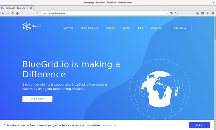 DNS resolution test for bluegrid.awesome