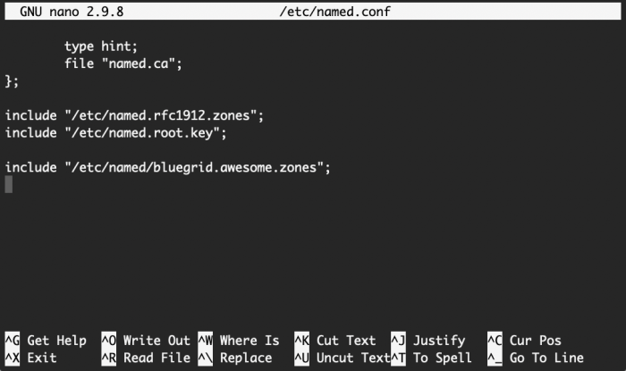 /etc/named.conf | include DNs zone file