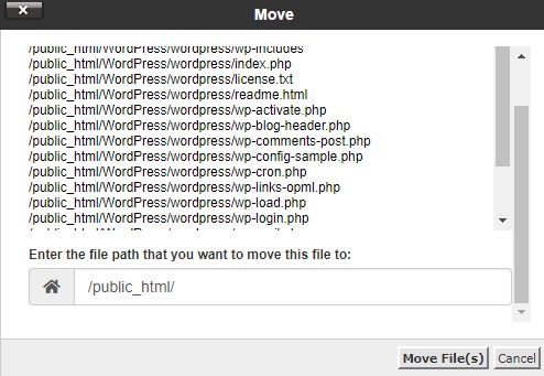 Installing WordPress on cPanel