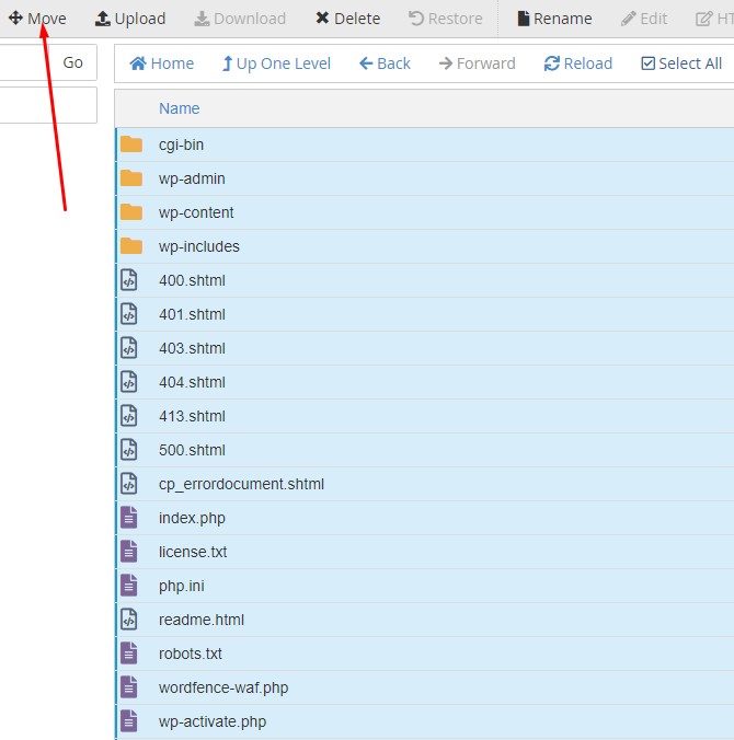 Installing WordPress on cPanel