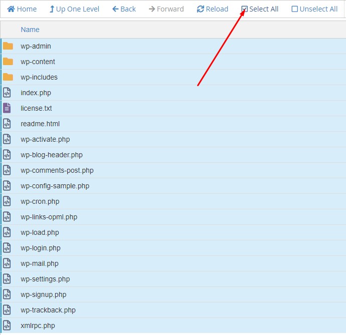 Installing WordPress on cPanel