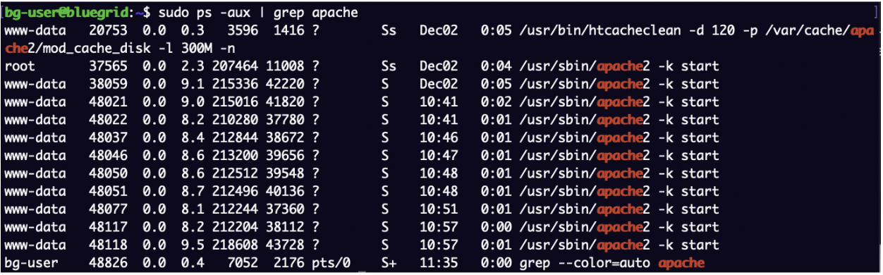 bg-user@bluegrid:~$ sudo ps -aux | grep apache