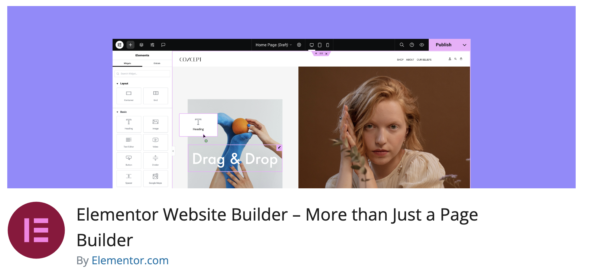 Essential WordPress plugins for beginners - Elementor